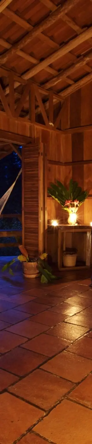 Erlebe Natur pur in der Selva Bananito Lodge